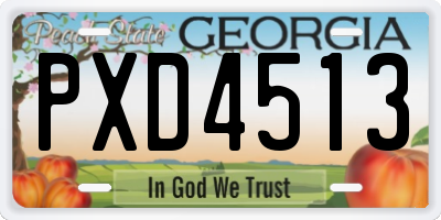 GA license plate PXD4513