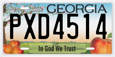 GA license plate PXD4514