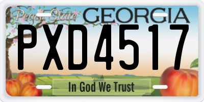 GA license plate PXD4517