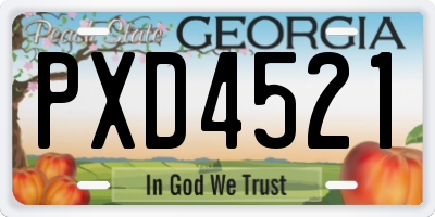 GA license plate PXD4521