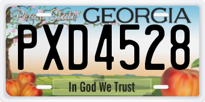 GA license plate PXD4528