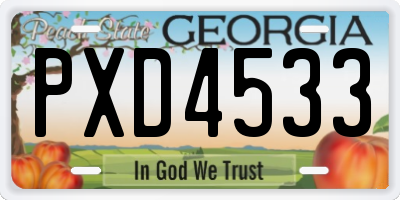 GA license plate PXD4533