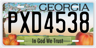 GA license plate PXD4538