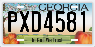 GA license plate PXD4581