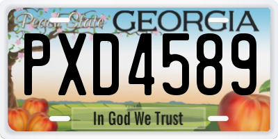 GA license plate PXD4589