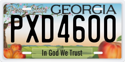 GA license plate PXD4600