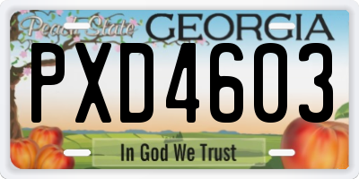 GA license plate PXD4603