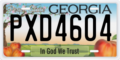GA license plate PXD4604