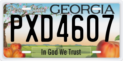 GA license plate PXD4607