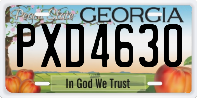 GA license plate PXD4630