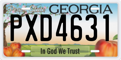 GA license plate PXD4631