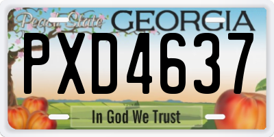 GA license plate PXD4637