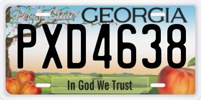 GA license plate PXD4638