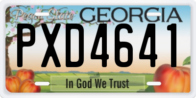 GA license plate PXD4641