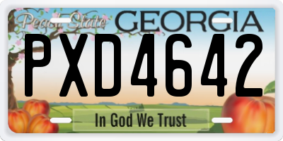GA license plate PXD4642