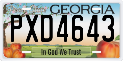 GA license plate PXD4643