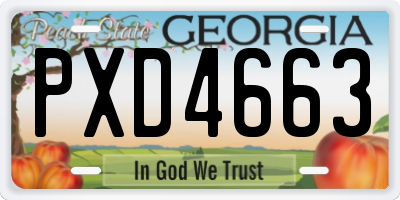 GA license plate PXD4663