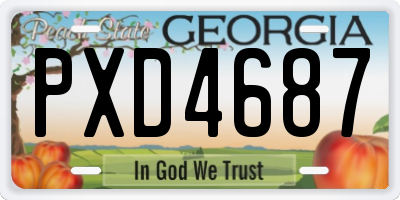 GA license plate PXD4687