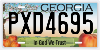 GA license plate PXD4695