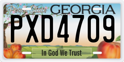 GA license plate PXD4709