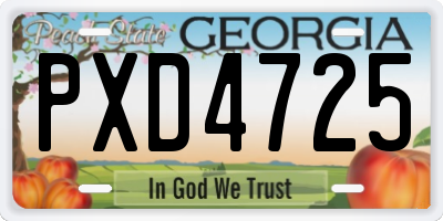 GA license plate PXD4725