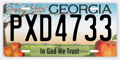 GA license plate PXD4733