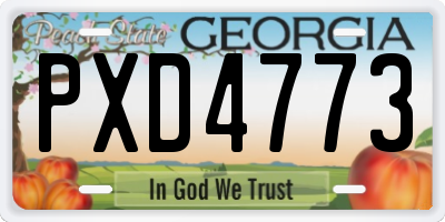 GA license plate PXD4773