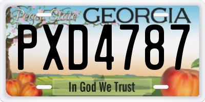 GA license plate PXD4787
