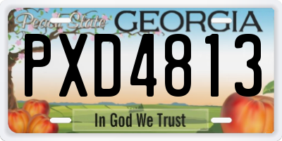 GA license plate PXD4813