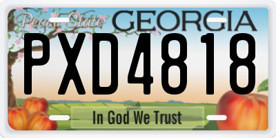 GA license plate PXD4818