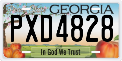 GA license plate PXD4828