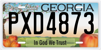 GA license plate PXD4873