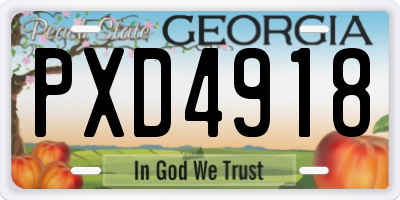 GA license plate PXD4918
