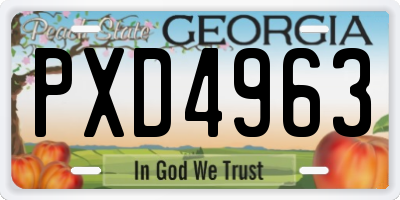 GA license plate PXD4963