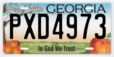 GA license plate PXD4973