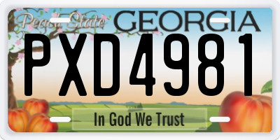 GA license plate PXD4981
