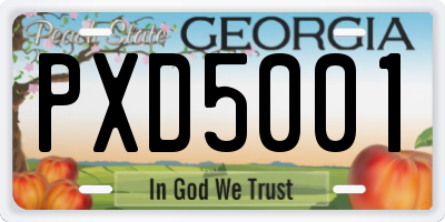 GA license plate PXD5001