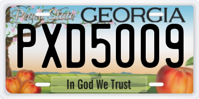 GA license plate PXD5009