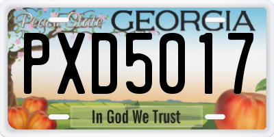 GA license plate PXD5017