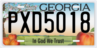 GA license plate PXD5018