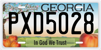GA license plate PXD5028