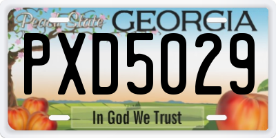 GA license plate PXD5029