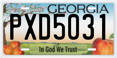GA license plate PXD5031