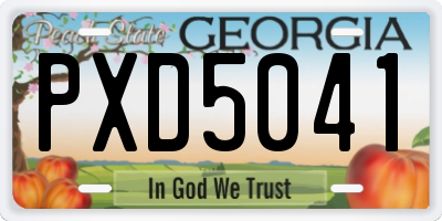 GA license plate PXD5041