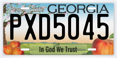 GA license plate PXD5045