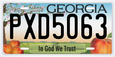 GA license plate PXD5063