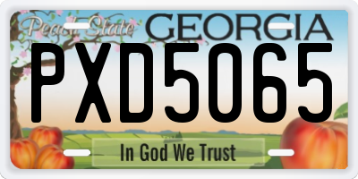 GA license plate PXD5065