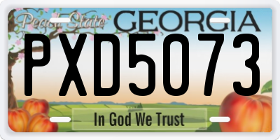 GA license plate PXD5073