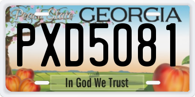 GA license plate PXD5081