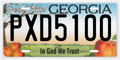 GA license plate PXD5100